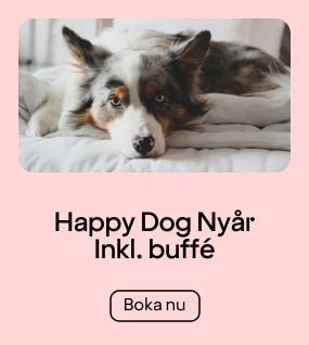 Happy Dog - Room & Buffet