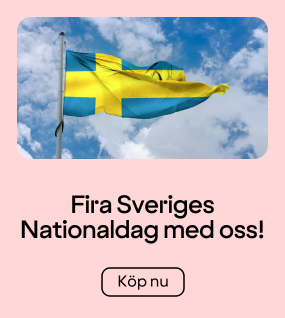 Fira Sveriges Nationaldag